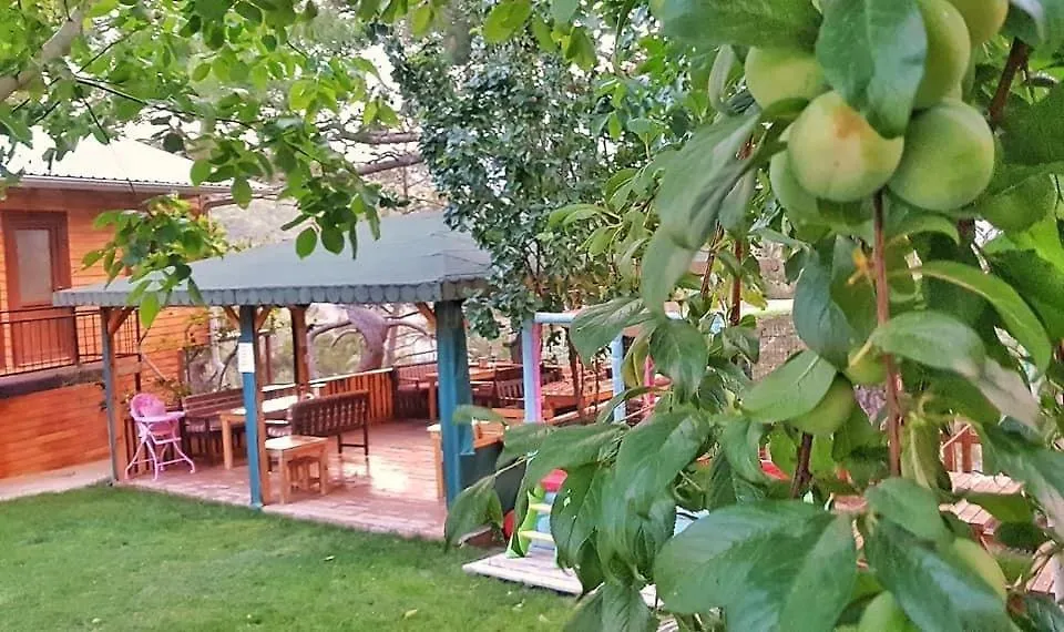 Yenivadi Villa Antalya Chalet